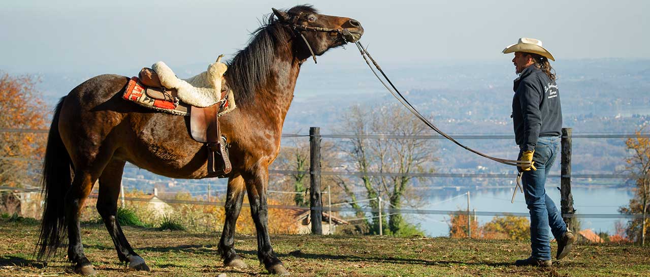 Passeggiate a cavallo sul lago Maggiore